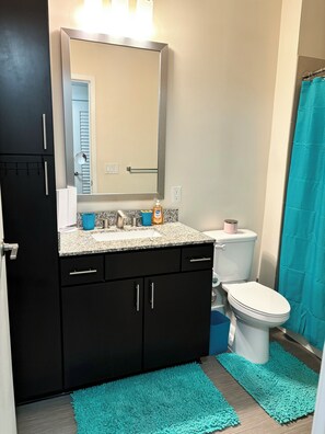 Towels, toilet paper - Charming apartment in brilliant Atlanta with fitness room, WiFi, AC (Atlanta)