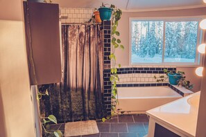 Hair dryer, towels, soap, shampoo - Spacious, newly renovated home in the forest; close to world famous fishing. (Soldotna)