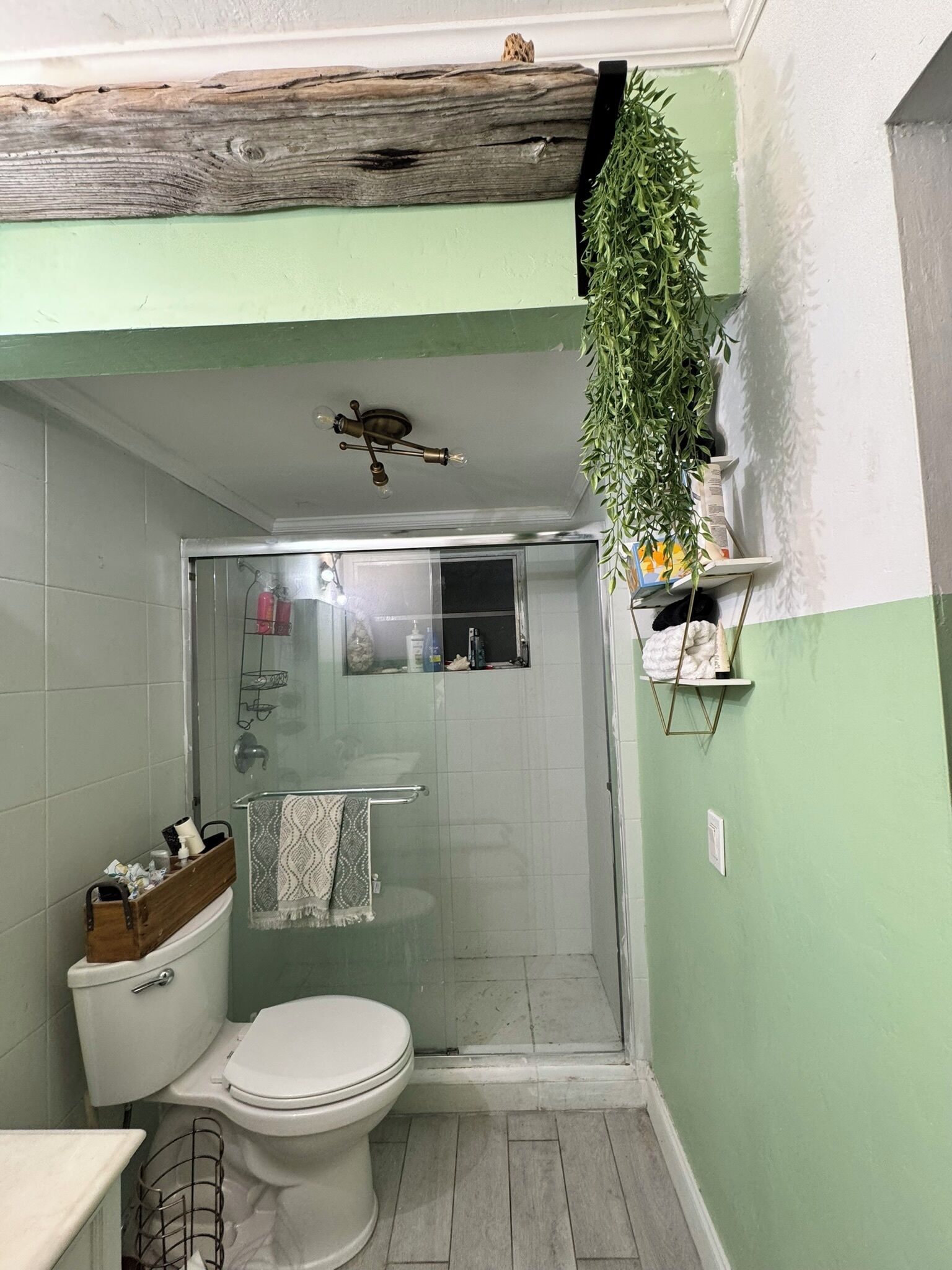 A bathroom with a shower, toilet, and a towel rack.