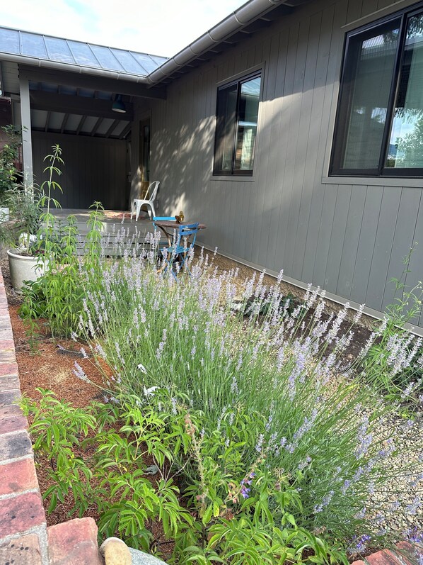 Terrace/patio - Curious cottage with Mountain View’s in downtown Black Mountain (Asheville)