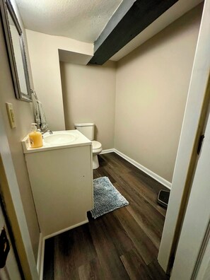 Shower, hair dryer, towels, soap - 2-bedroom home along Riverfront in Serene Shipoke community of Harrisburg, PA (Harrisburg)