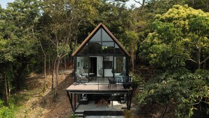 A modern house with a glass facade, surrounded by dense forest.