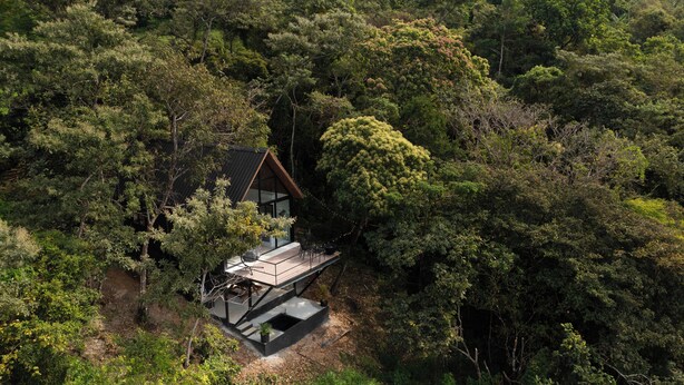 A modern house with a sloped roof, surrounded by dense forest.