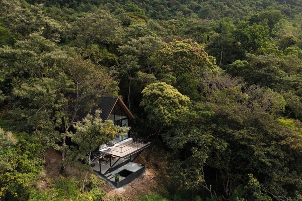 Your hidden hideaway deep in the forest.