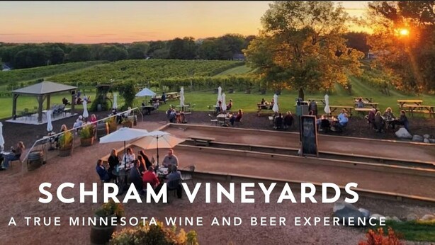 A vineyard setting with outdoor seating and a gazebo.