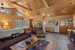 Smart TV, fireplace, books