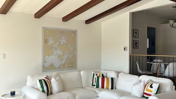 Smart TV, chimenea y libros