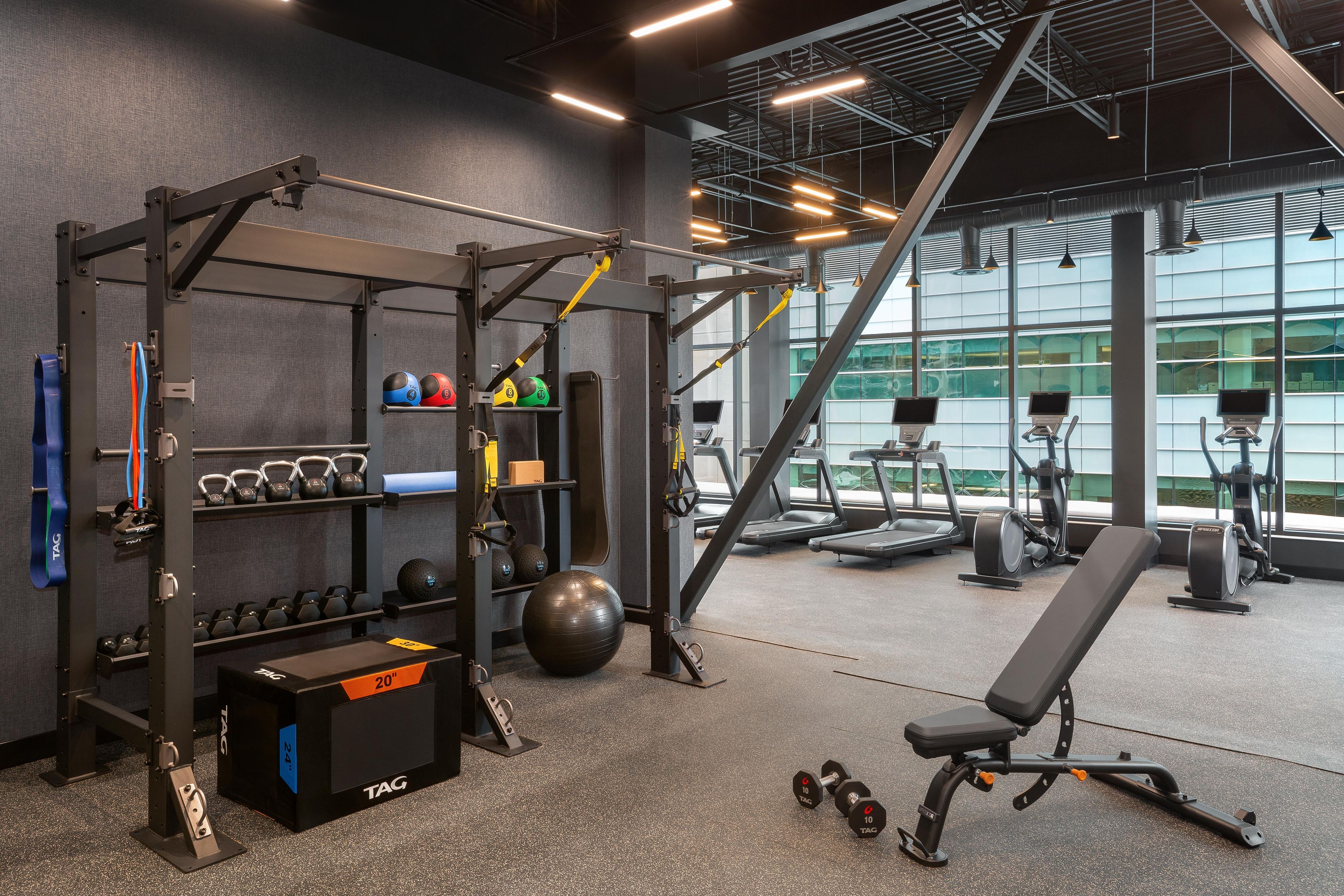 A gym with weightlifting equipment, treadmills, and exercise balls.