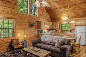 TV connectée, cheminée, livres