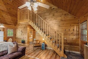 TV connectée, cheminée, livres