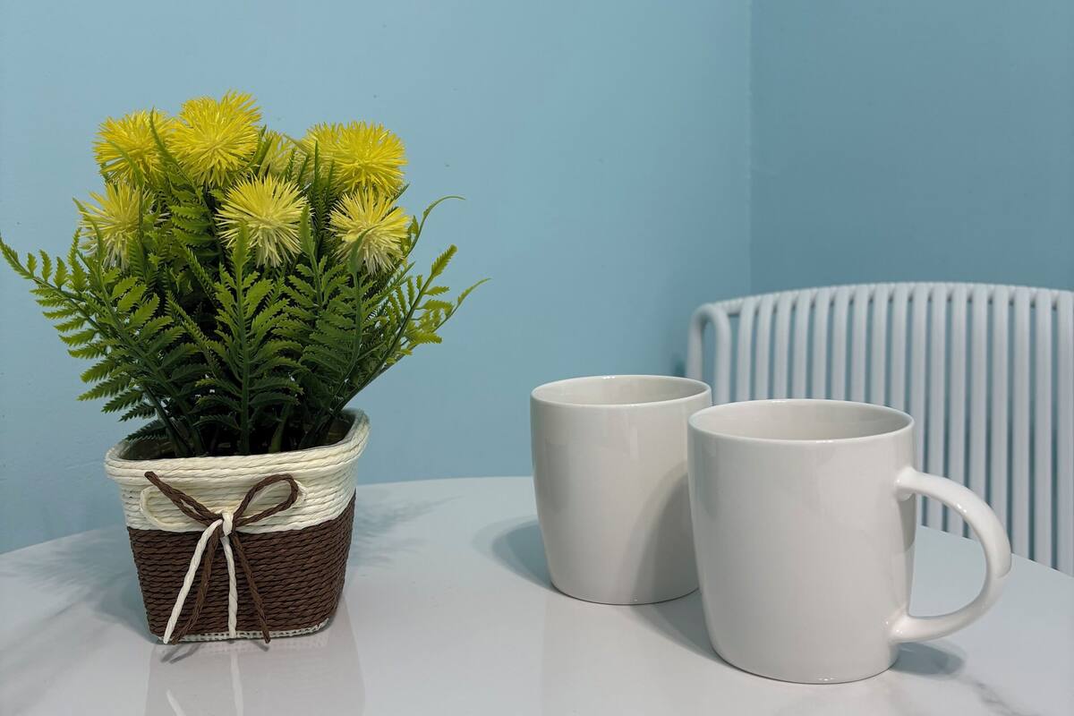 A white table with a potted plant and two white mugs.