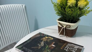 Dobbeltrom – classic | Skrivebord og wi-fi (inkludert)