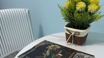 Classic Double Room | Desk, free WiFi