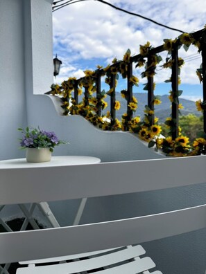 Comfort vierpersoonskamer, uitzicht op bergen | Terras