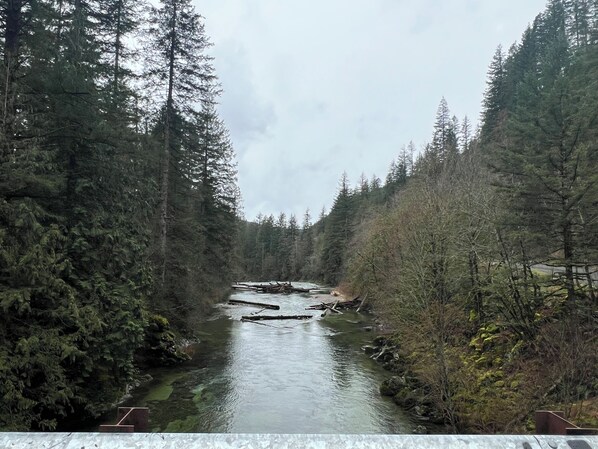 Un río serpentea por una zona boscosa con árboles densos a ambos lados.