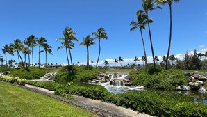 Un paysage tropical avec des palmiers, une petite cascade et un ciel bleu clair.