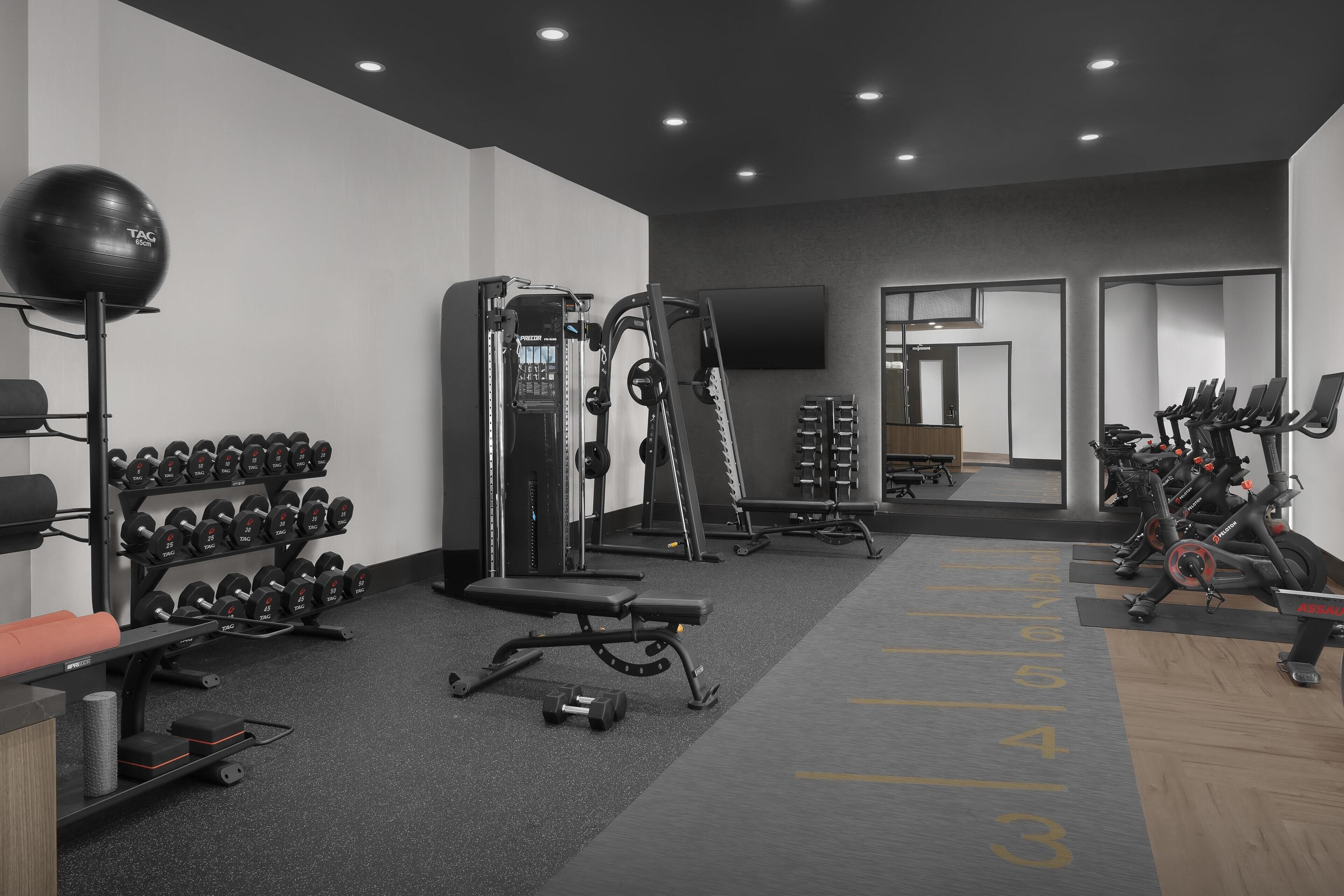 Una palestra moderna con diverse attrezzature, tra cui manubri, una panca e macchinari cardio.