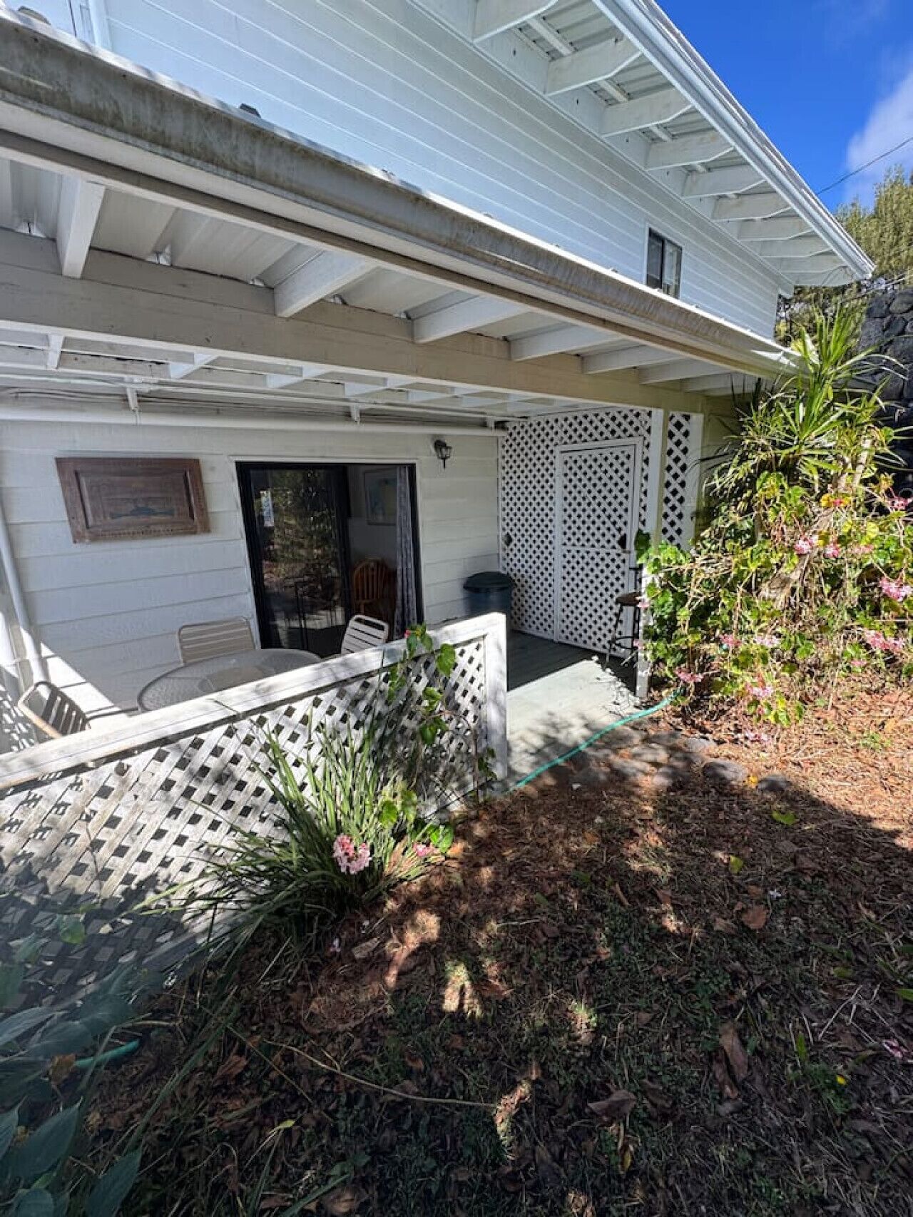 テラス / パティオ