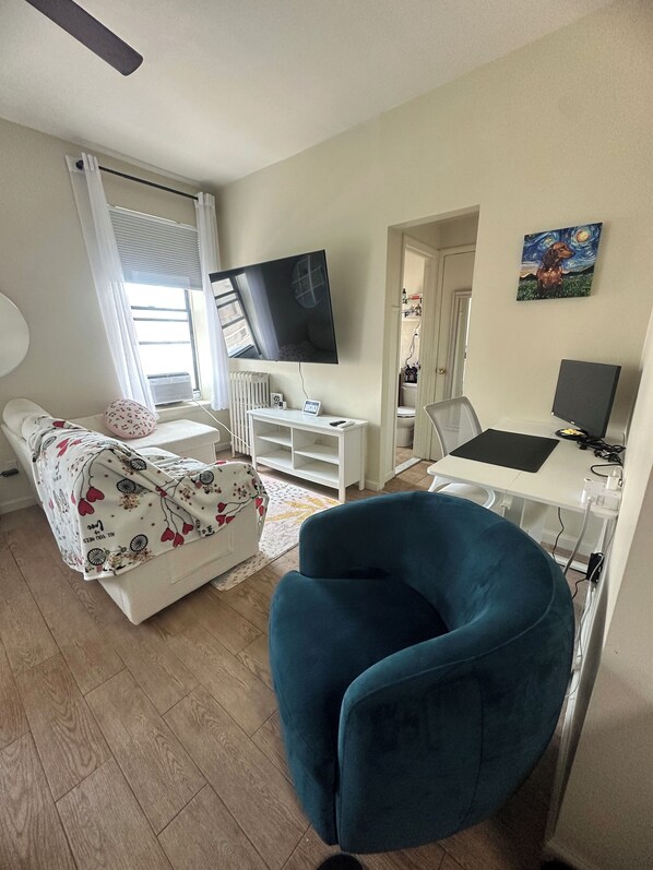 1 bedroom, WiFi - Cozy studio with WiFi and AC in Brooklyn just steps from N train (Brooklyn)