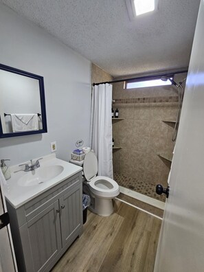 A bathroom with a sink, toilet, and shower area. - Emerald Cottage Oasis (Jacksonville)