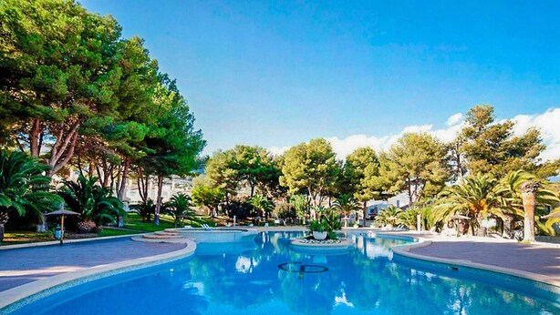 A large, clear swimming pool surrounded by lush greenery and trees. - Bungalow - CalpePark (Calpe)