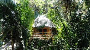 Een houten hut met rieten dak, omgeven door weelderige tropische begroeiing.