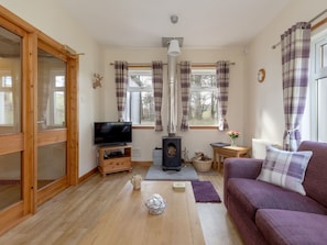 TV, fireplace, DVD player