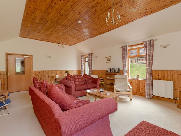 TV, fireplace, DVD player