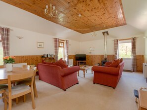 Televisión, chimenea y reproductor de DVD 