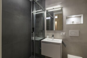 Shower, hair dryer, bidet, towels