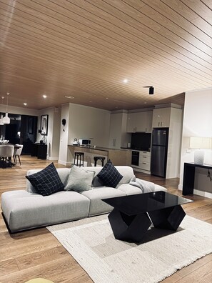 TV connectée, cheminée, livres, chaîne hi-fi