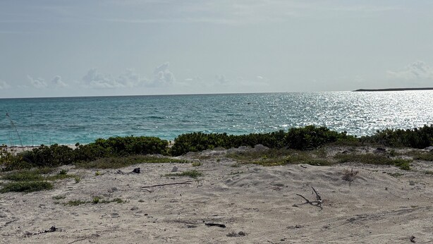A beach with clear turquoise water, a sandy foreground, and a distant landmass. - L&L Cozy Stuido Inn Studio unit Exuma (Exuma)
