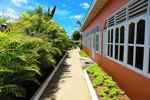 Caminho ladeado por vegetação exuberante e um edifício com janelas emolduradas de branco.