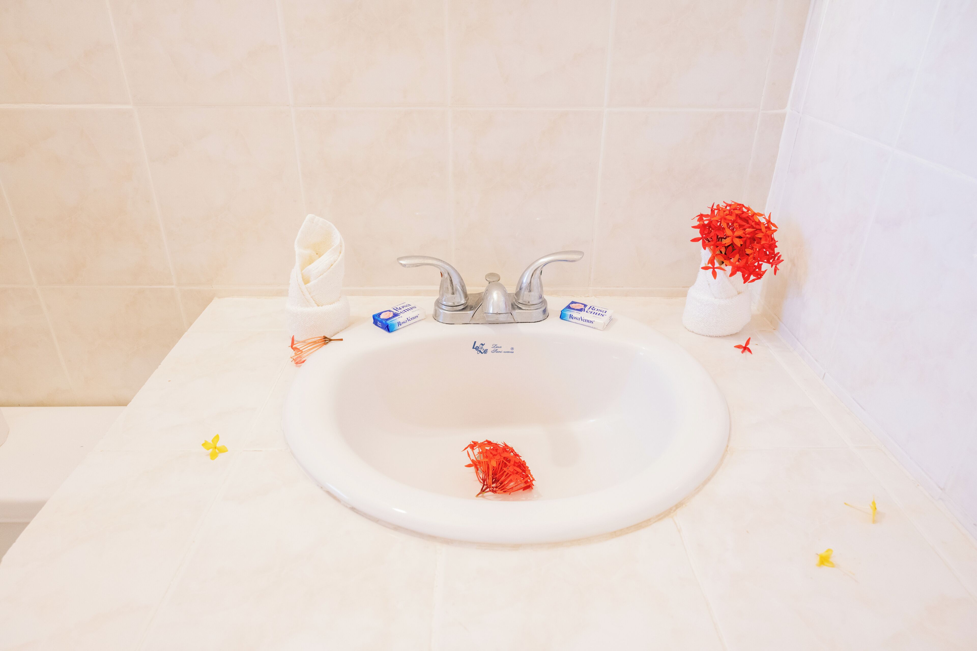 A bathroom sink with a white basin, two soap dispensers, and a small vase with red flowers.