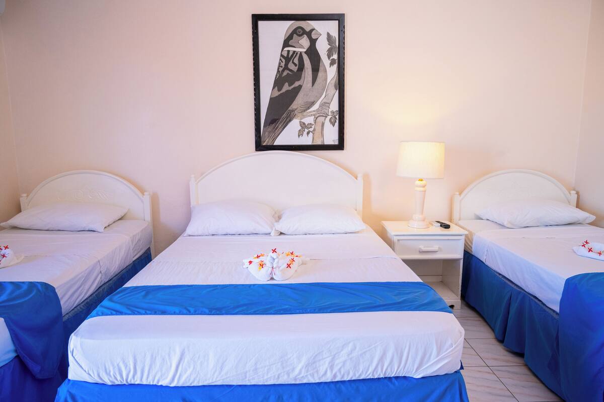 Habitación triple clásica | Tabla de planchar con plancha, wifi gratis y ropa de cama