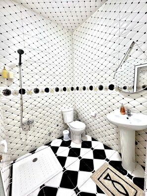 Shower, hair dryer, towels, toilet paper