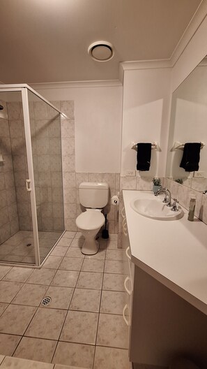 Hair dryer, towels, soap, toilet paper