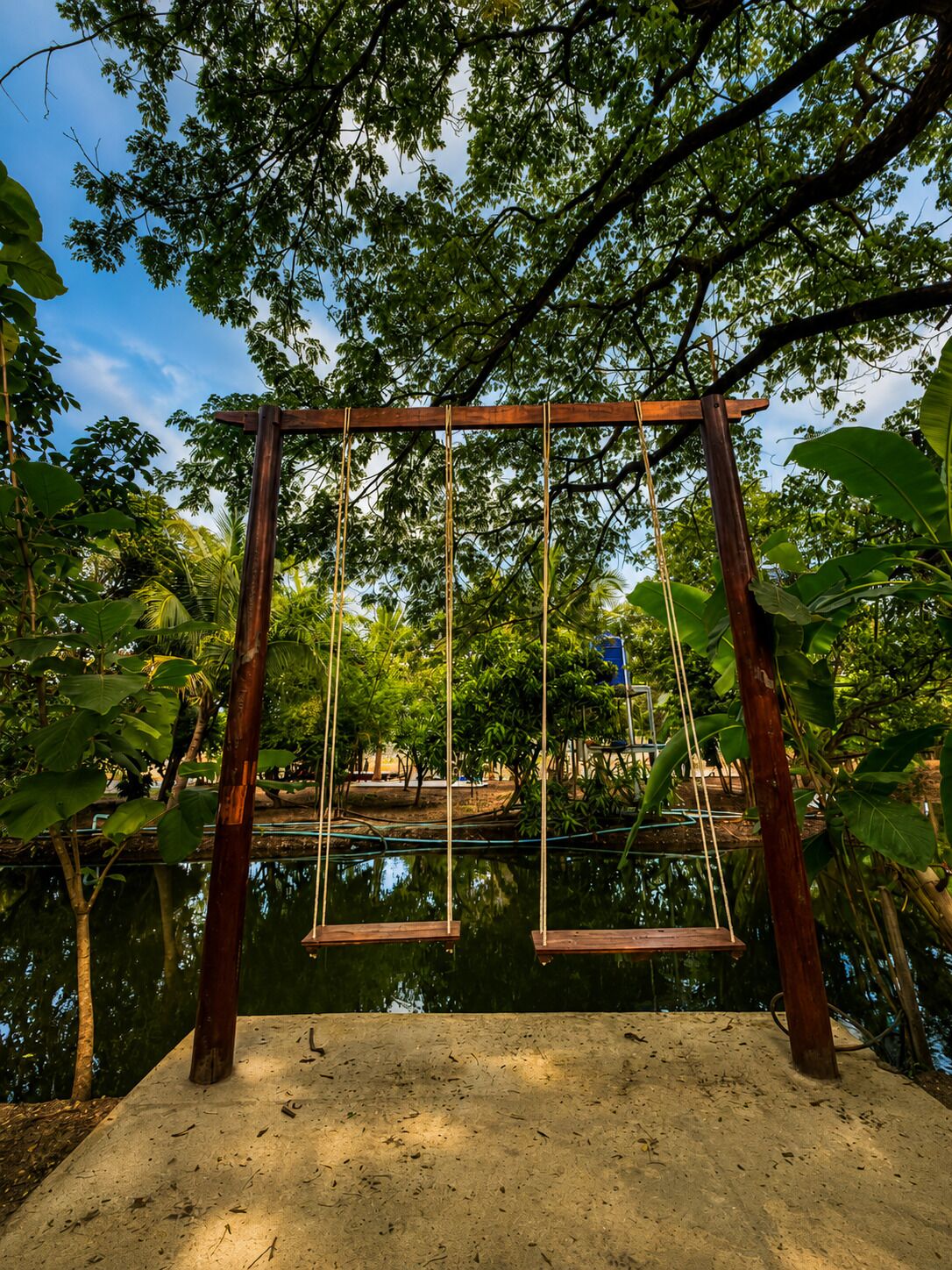A wooden swing set over a body of water surrounded by lush greenery.