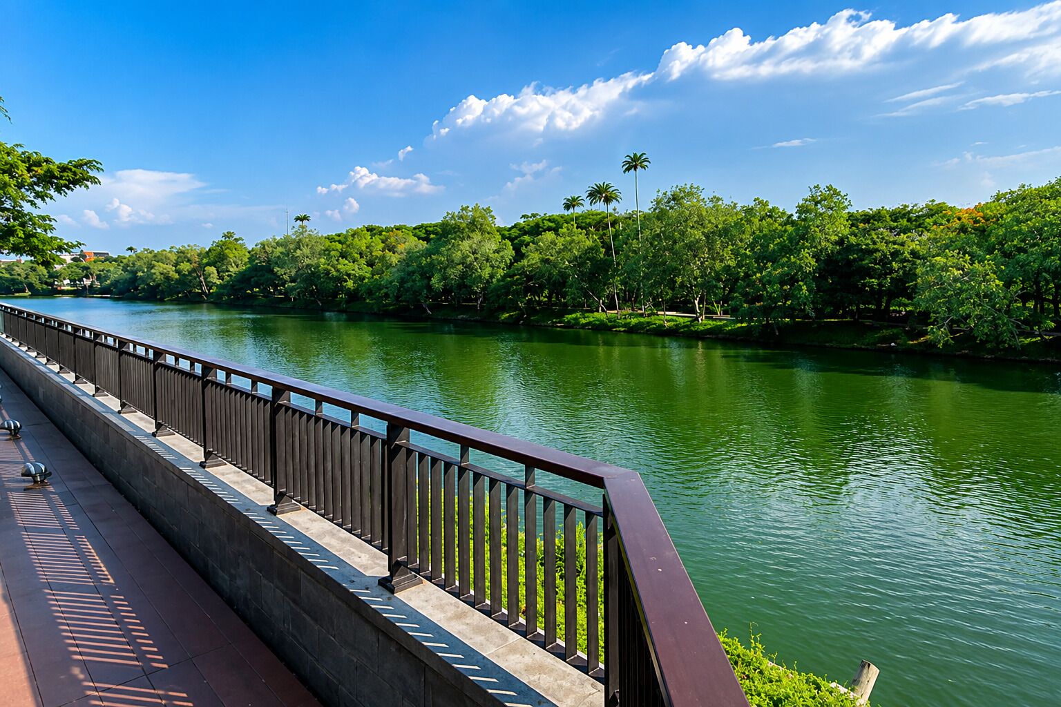 A bridge with a metal railing, a river, and dense greenery on both sides.