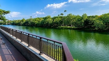 A bridge with a metal railing, a river, and dense greenery on both sides.