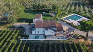 A large villa with a tiled roof, surrounded by vineyard rows, a swimming pool, and a tennis court. - Villa La Pace near Lucca (Province of Pistoia)