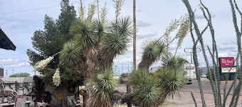Charming bungalow with WiFi and AC in welcoming Van Horn