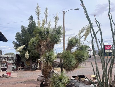 Charming bungalow with WiFi and AC in welcoming Van Horn