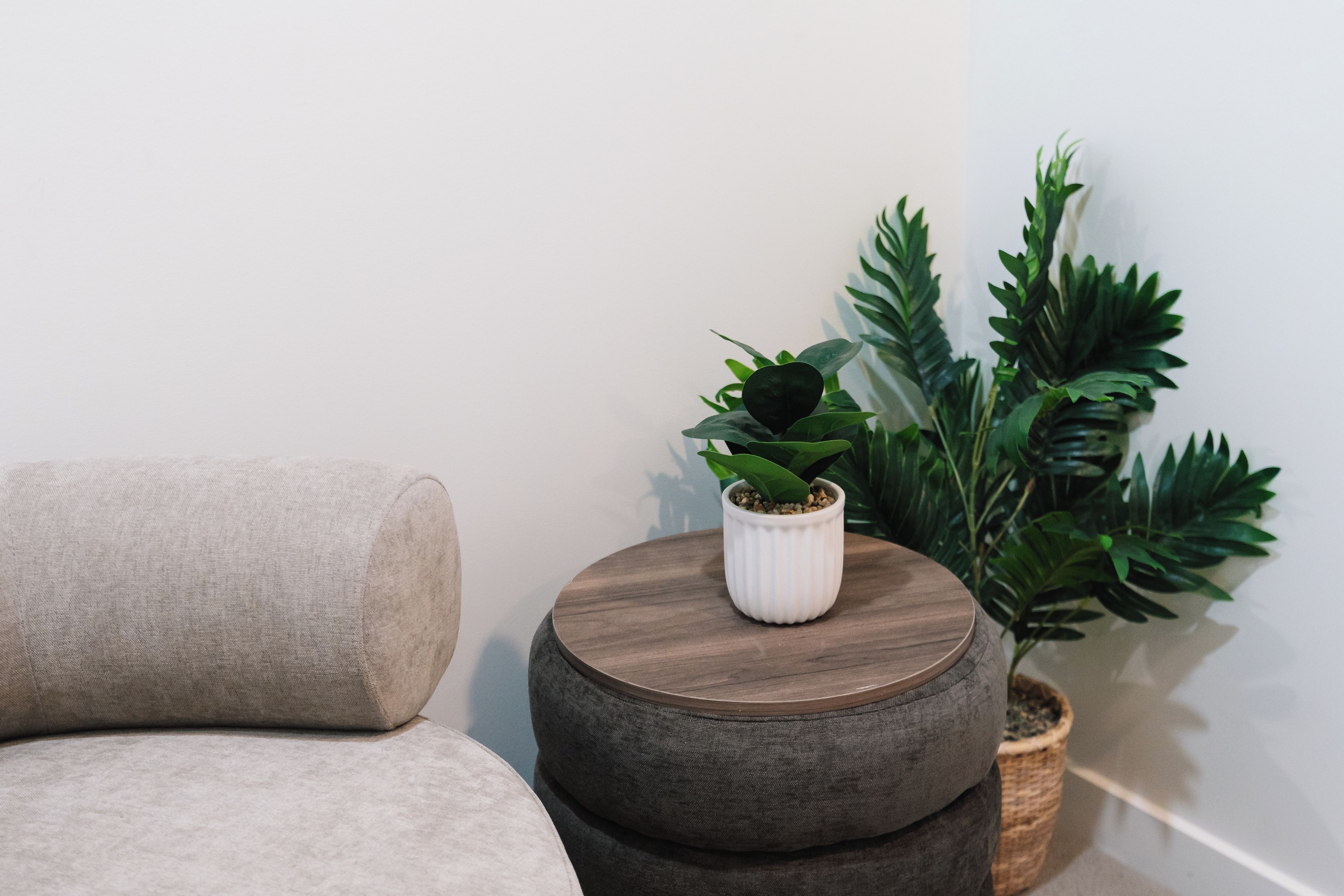 Un rincón de una habitación con un sofá gris, una pequeña mesa redonda de madera con una maceta blanca y una planta verde grande en una cesta tejida.