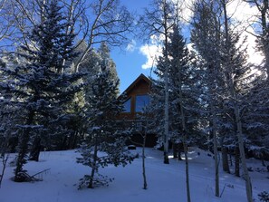 Exterior - Family Built Cabin In Cripple Creek (Cripple Creek)