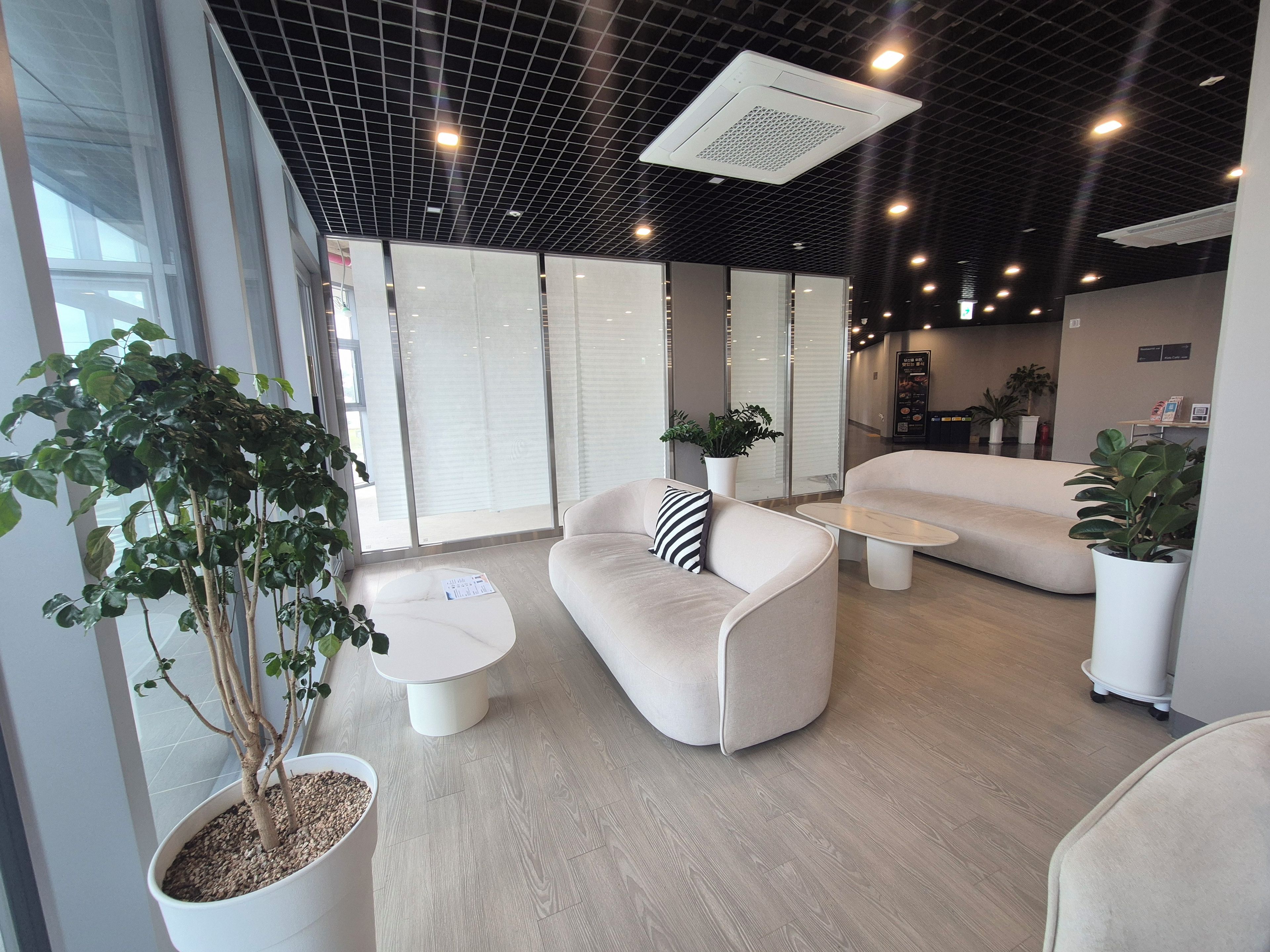 A modern interior with seating areas, a coffee table, and potted plants.