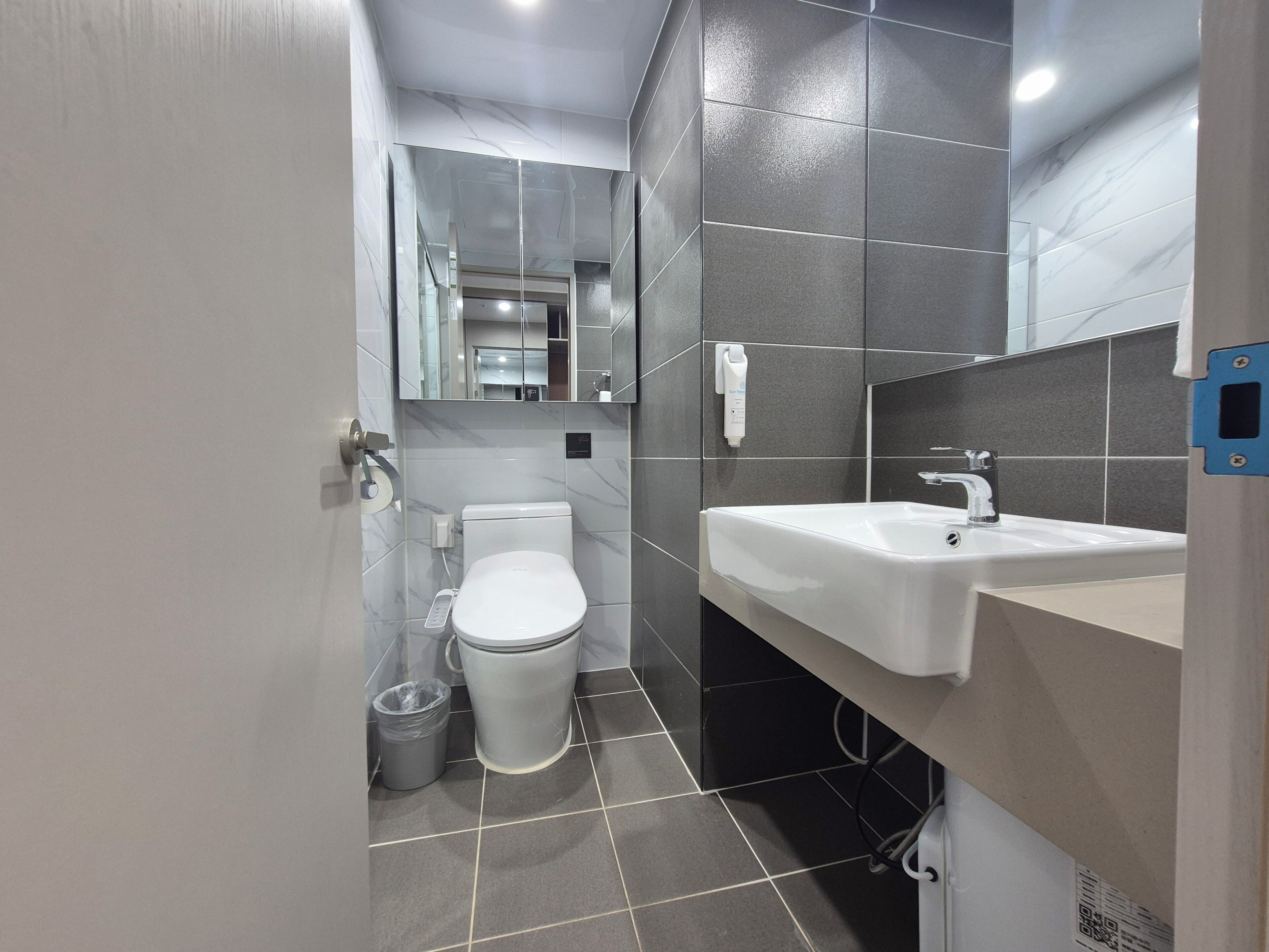 A modern bathroom with a toilet, sink, and mirror.