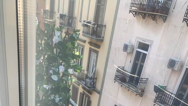 Un balcon doté d’une balustrade en fer forgé, de plantes en pot et d’un panier en osier.
