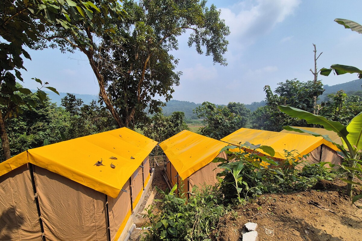 Kamar