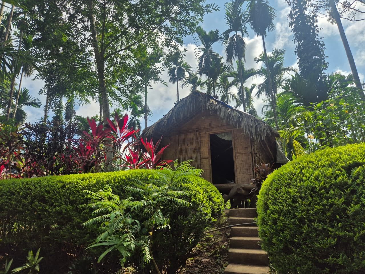 A thatched-roof structure with a staircase leading to an entrance, surrounded by lush greenery and palm trees.